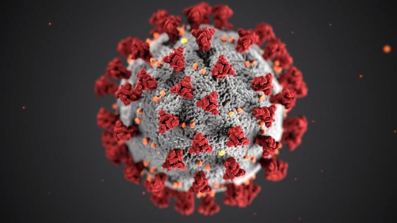 Lungenkrankheiten - Covid-19 Virus 3D Bild